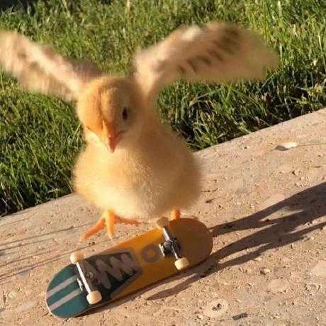 Filimonq Ildar Fitkulin Github - Ocean Images - Creative Desktop Collection