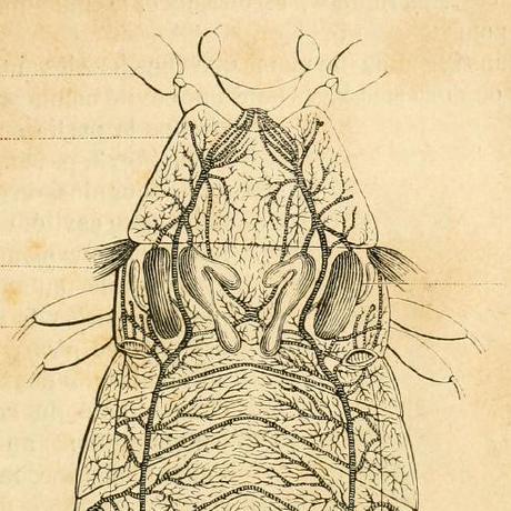 Siru Kid Sirak Kidane Github - Sunset Wallpaper Collection - Mobile Quality