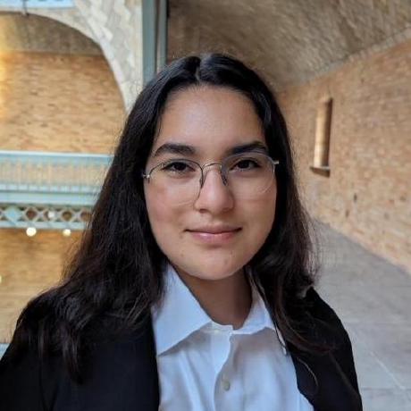 Aylin Perfecto Github - Sunset Image Collection - HD Quality