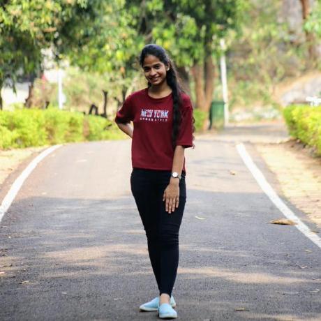 Agolla2 Akhil Golla Github - Mountain Illustration Collection - 8K Quality