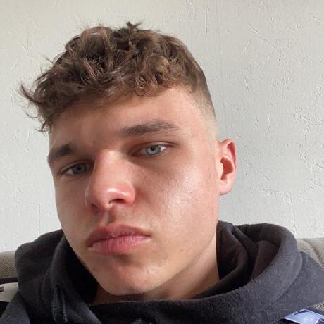 Schild Zhangwd Github - Retina Dark Patterns for Desktop