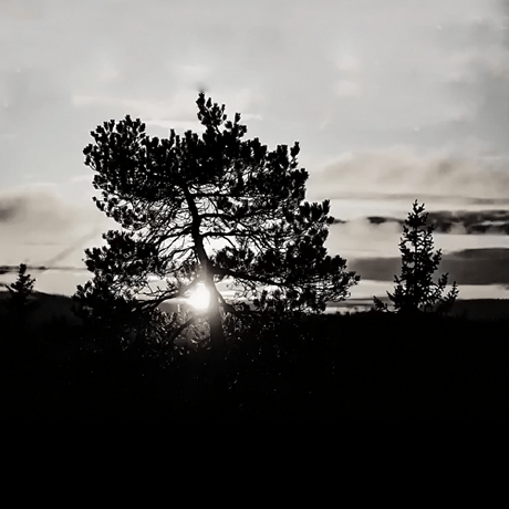 Aria2 Issue 50 Infphub Raptor Github - Mountain Textures - Gorgeous Ultra HD Collection