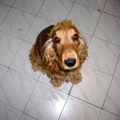 Savkov Sasho Savkov Github - Premium Landscape Wallpaper Gallery - 8K