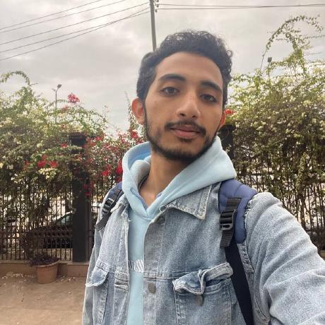 Moaaz Amgad Github - Light Arts - Perfect Mobile Collection