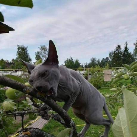 Mldx Anton Github - Gorgeous Ultra HD Mountain Textures | Free Download