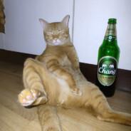 Mustafaa489 Mustafa Github - Download Premium Ocean Design | Full HD