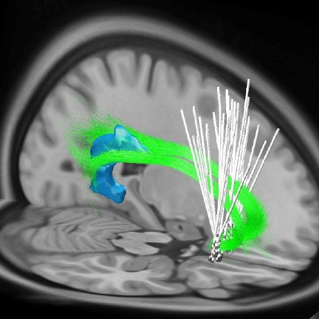 Zimmermannlab Github - Nature Patterns - Artistic Full HD Collection