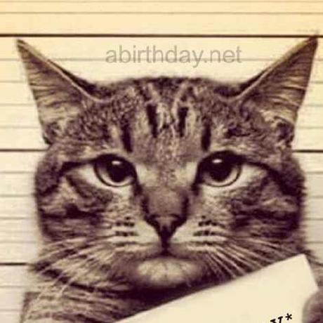 Nicopigna Nicol Pignatelli Github - Stunning HD City Wallpapers | Free Download