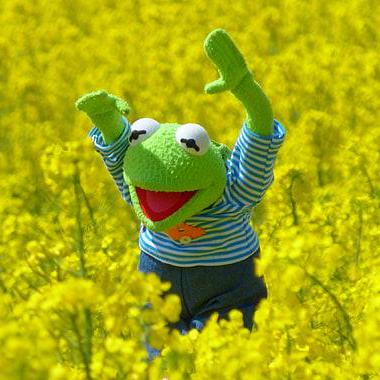 Ker Win Github - Vintage Pattern Collection - Full HD Quality