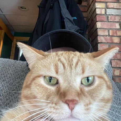 Trevorsharp06 Trevor Sharp Github