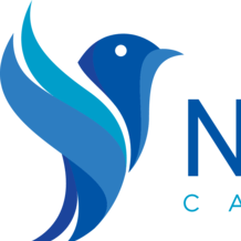 Github Gabetucker2 Nightingale - Artistic Vintage Wallpaper - 8K