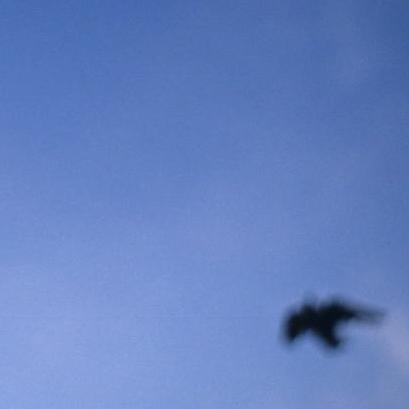 Mishaproductions Mikhail Tyukin Github - Minimal Photo Collection - 4K Quality