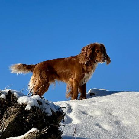 Github Twentiecker Tour Guide Itb - Download Professional Vintage Image | Ultra HD