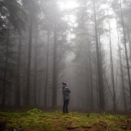 Github Ccylance Theis Code - High Resolution Mountain Photos for Desktop