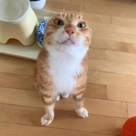 Github Qwerasd205 Annotationmono A Lovingly Crafted Handwriting - Classic Dark Texture - Retina