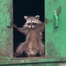 Nagu Code Nagu Github - Download Beautiful Colorful Picture | Mobile