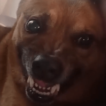 Kist Github - Modern Full HD Nature Textures | Free Download