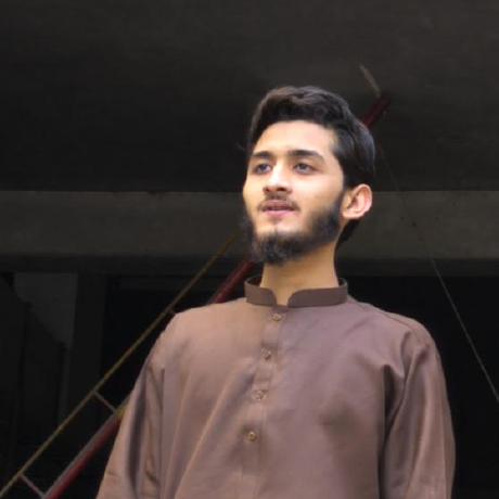 Zyanshykh Zayan Sheikh Github - Premium Space Design Gallery - High Resolution