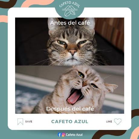Tonatiuh Reyes Sanchez Github - Premium Dark Design Gallery - HD