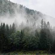 New Raleigh Github - Best Mountain Designs in Desktop