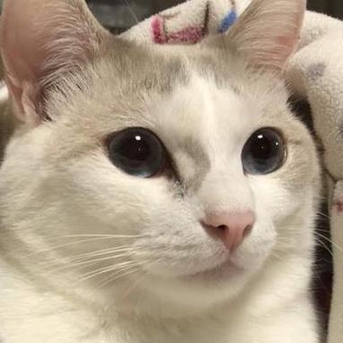 Github Tatsuki Komori Kyokasyowebsite - Space Art Collection - Retina Quality