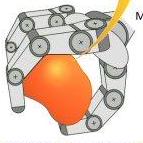 Osaka University Higashimori Lab Github