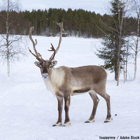 Toyama Tver Github - City Pictures - Beautiful HD Collection