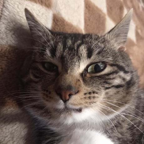 Hacker1470 Mikhail Github - Artistic Light Pattern - Desktop