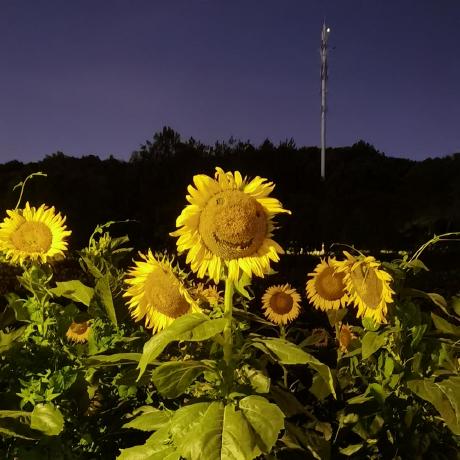 Itsdianasan Diana San Github - Best Colorful Textures in High Resolution