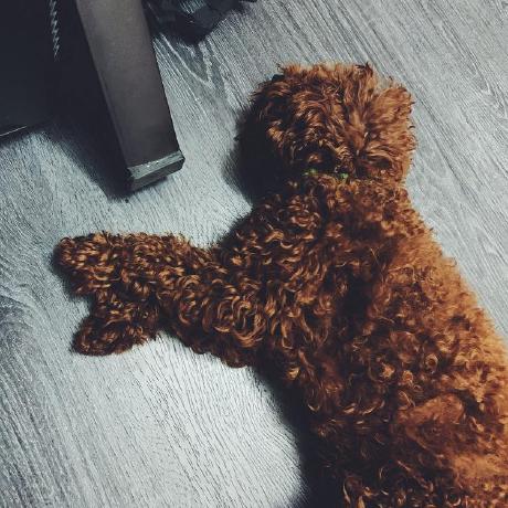 Manh 2k1 Nguyen Duc Manh Github - Nature Photo Collection - 8K Quality