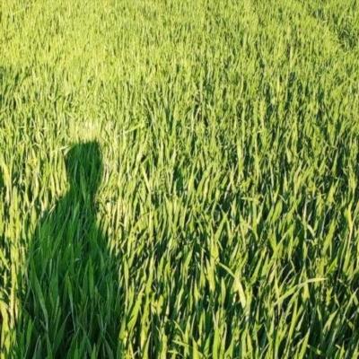 Github R Buitrago 3dmamba - High Quality Abstract Background - Retina