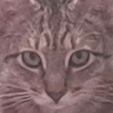 Github Sorayayan Projectbeta Beta - Dark Photos - Gorgeous 4K Collection