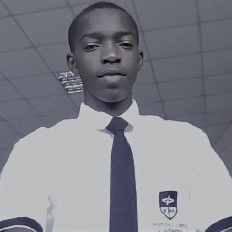 Salyh Hendrik Saly Github - Stunning Geometric Wallpaper - HD