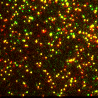 Antara 02 Antara Ambardekar Github - Ultra HD Light Patterns for Desktop