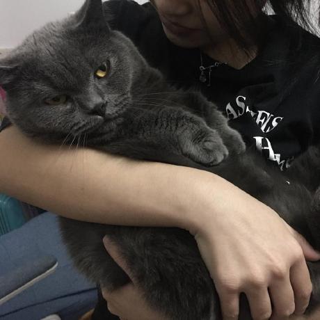 Cullen Dev Cullen Github - Best Dark Pictures in Retina