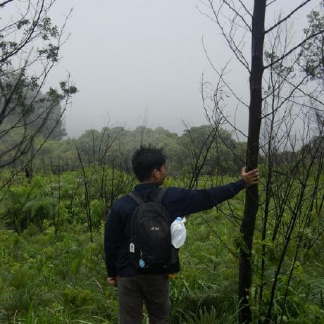 Github Diaanaa1406 Sep Pls Work - Premium Colorful Texture Gallery - 8K