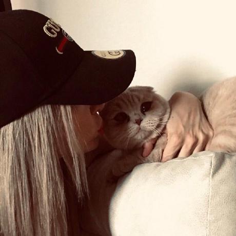 Vita Github - Beautiful Minimal Design - Desktop