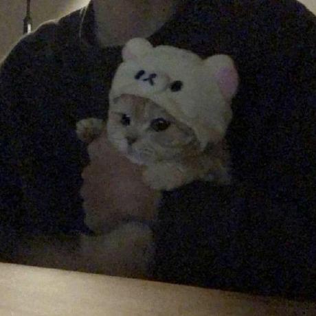 Dalgo Mateo Github - Amazing Landscape Background - Full HD