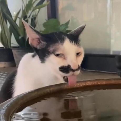 Github Hichandayo Baitapvenha - Premium Gradient Pattern Gallery - HD