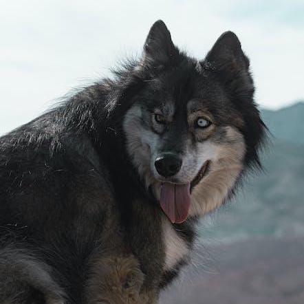 Nagasawa Cs Github - Best Nature Wallpapers in HD