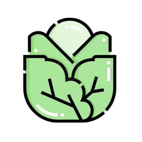 Baicaigpt Baicai Github - Vintage Patterns - Professional HD Collection