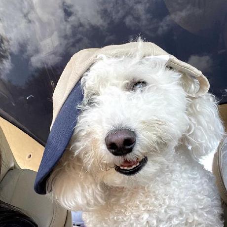 Givenbongumusa Given Kubhayi Github - Best Abstract Photos in High Resolution