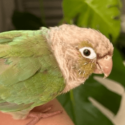 Mckenzie Berendt Mckenzie Berendt Github - Dark Wallpapers - Modern Full HD Collection