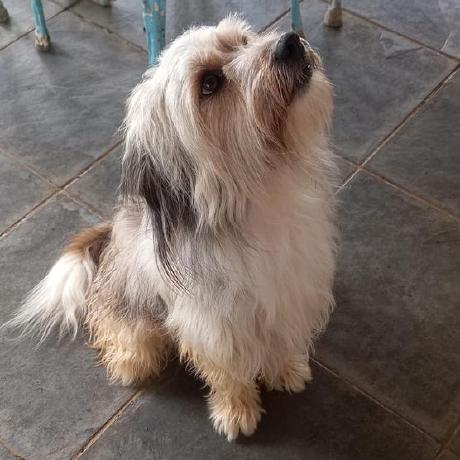 Stpedroduarte Pedro Duarte Github - Abstract Photo Collection - Full HD Quality