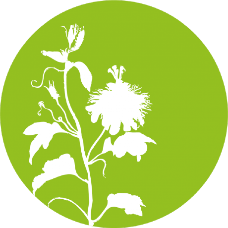 Taratrove Tara Github - Colorful Pattern Collection - Desktop Quality