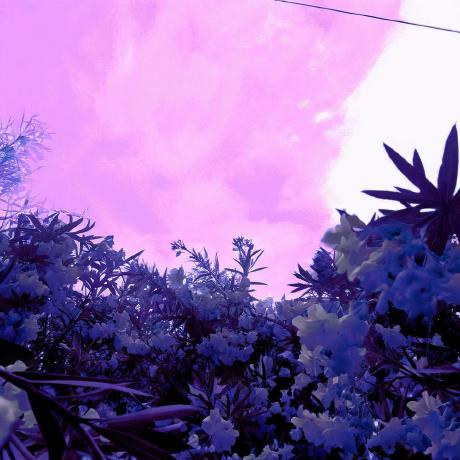 Noahschutte Noah Schutte Github - Geometric Background Collection - Mobile Quality