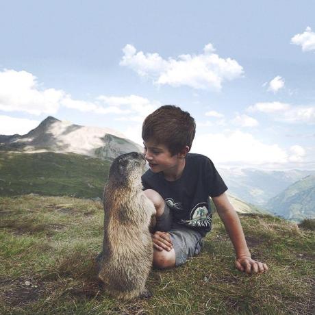 Issue 991 Zuiidea Antd Admin Github - High Quality Nature Pattern - Mobile