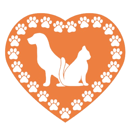 Mattisongjj Mattis Ong Github - Space Images - High Quality 8K Collection