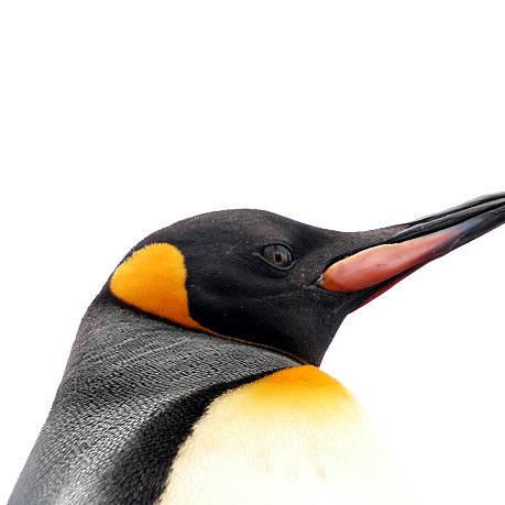 Micahescobedo Micah Escobedo Github - Creative Mobile Light Photos | Free Download