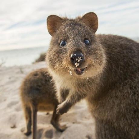 Github Matankila Fenrir - Vintage Photo Collection - Desktop Quality